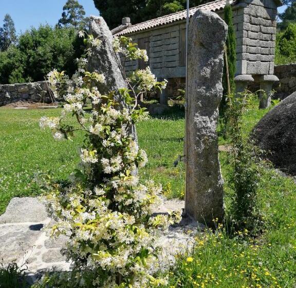 استودیوی استاندارد, Olardomar