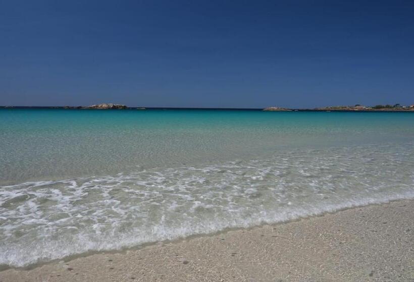 خانه 2 خوابه, Olardomar