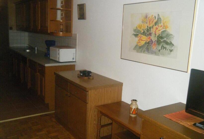 شقة غرفة واحدة, Haus Anderl