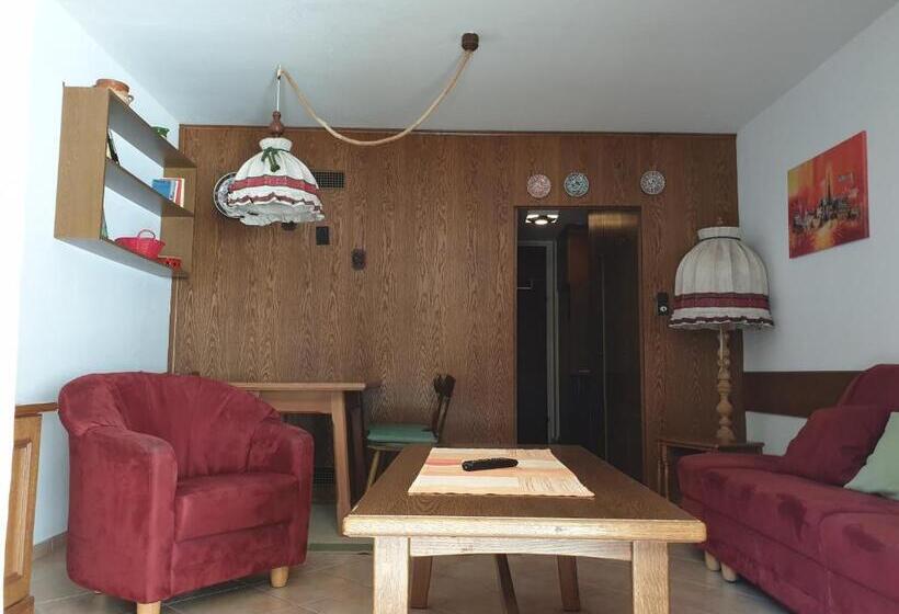 إستوديو قياسى, Haus Anderl