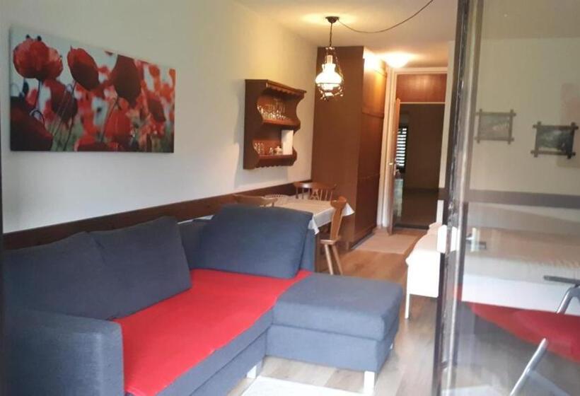 شقة غرفة واحدة, Haus Anderl