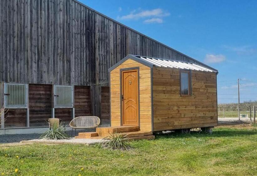 스탠다드 룸, Centre équestre D Azay Le Rideau