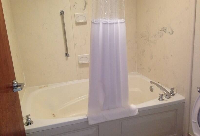 豪华房间, Baymont By Wyndham Orangeburg North