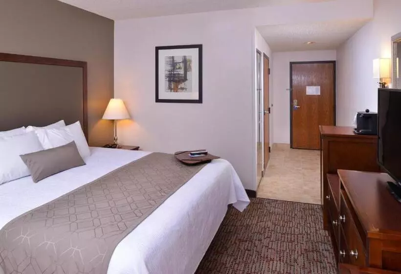 اتاق استاندارد با تخت بزرگ, Best Western Plus Wichita West Airport Inn