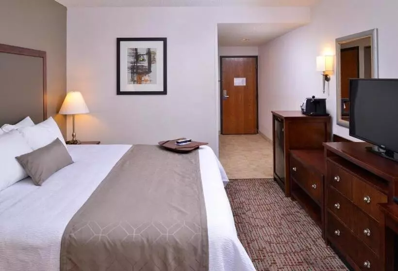 اتاق استاندارد با تخت بزرگ برای معلولان, Best Western Plus Wichita West Airport Inn