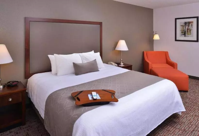 اتاق استاندارد با تخت بزرگ برای معلولان, Best Western Plus Wichita West Airport Inn