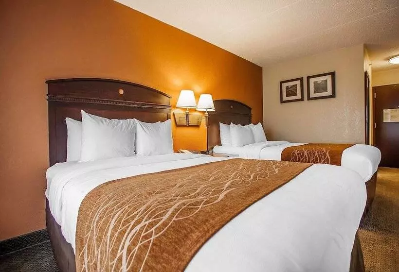 ２ダブルベッドのスタンダードルーム, Comfort Inn & Suites Somerset  New Brunswick