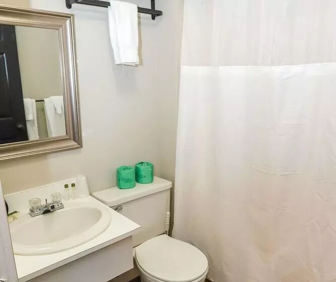 اتاق استاندارد با تخت دوبل, Gunstock Inn & Suites
