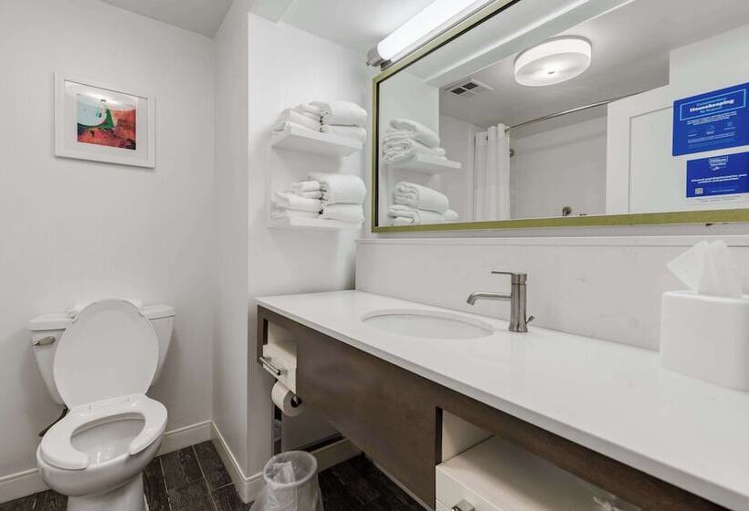 غرفة قياسية سرير كينج, Hampton Inn & Suites Memphis Wolfchase Galleria