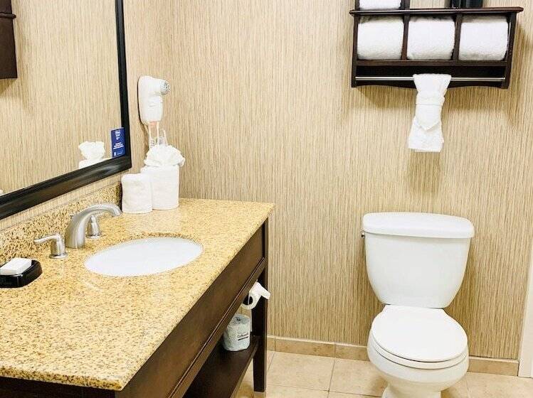 스탠다드 룸 더블 침대 2개, Hampton Inn Champaign/urbana