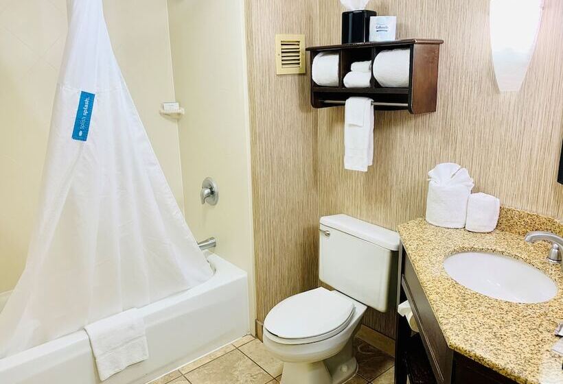 ２ダブルベッドのスタンダードルーム, Hampton Inn Champaign/urbana