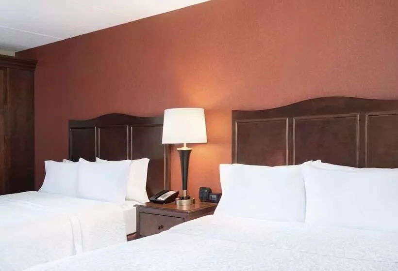 اتاق استاندارد با 2 تخت دوبل, Hampton Inn Clevelanddowntown