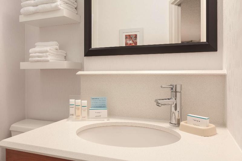 חדר סטנדרט עם מיטת קינג, Hampton Inn Des Moinesairport