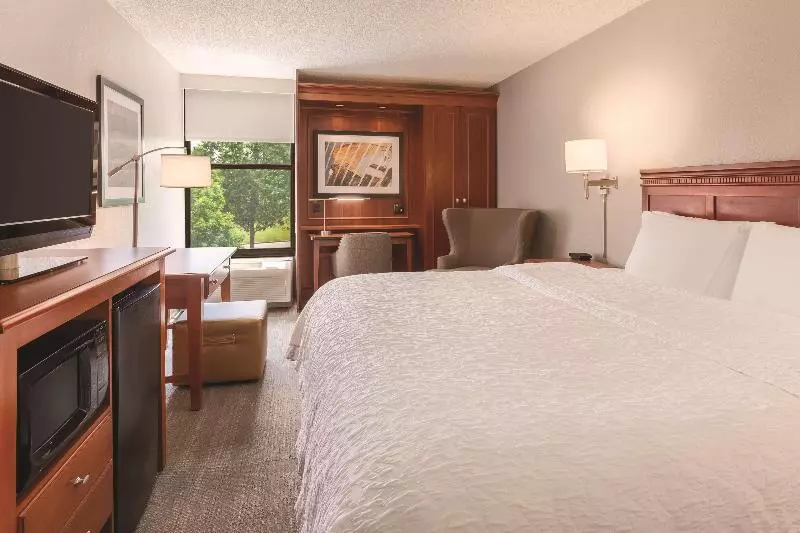 キングサイズベッドのスタンダードルーム, Hampton Inn Des Moinesairport