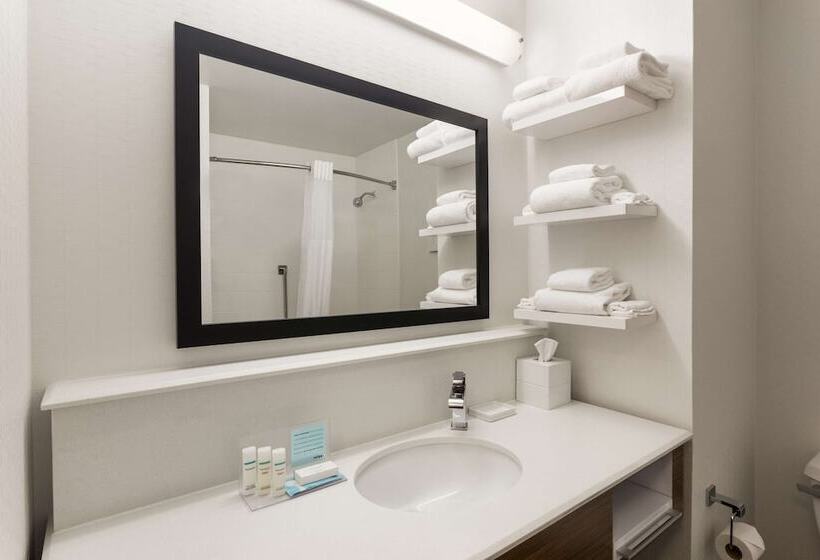 Люкс, Hampton Inn Fort Smith