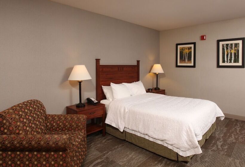 غرفة قياسية لذوى الاحتياجات الخاصة, Hampton Inn Kalispell