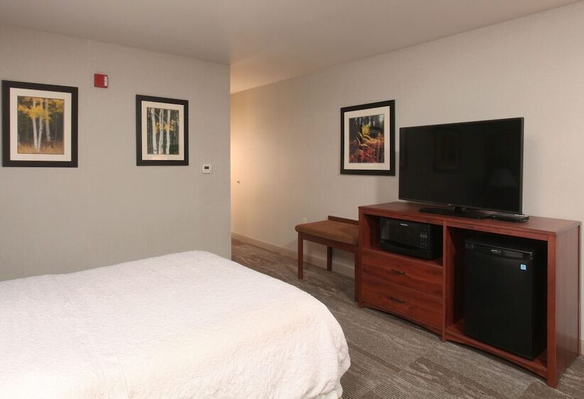 适合残疾人使用的标准间, Hampton Inn Kalispell