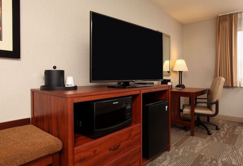 غرفة قياسية لذوى الاحتياجات الخاصة, Hampton Inn Kalispell