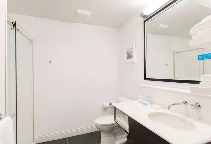 スイート, Hampton Inn Midland