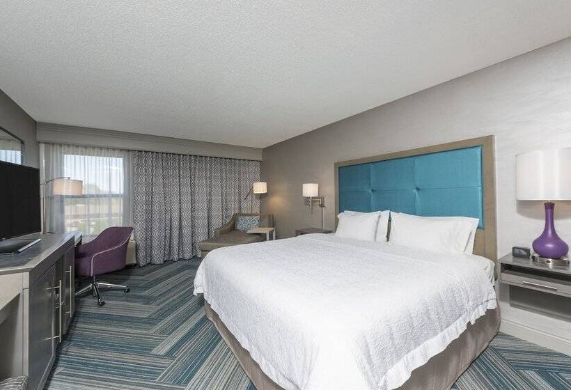 套房, Hampton Inn Midland