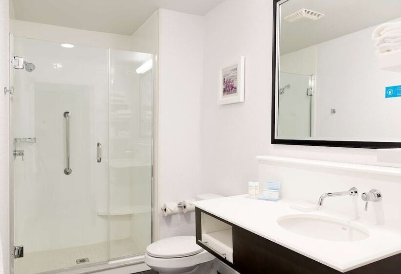 套房, Hampton Inn Midland