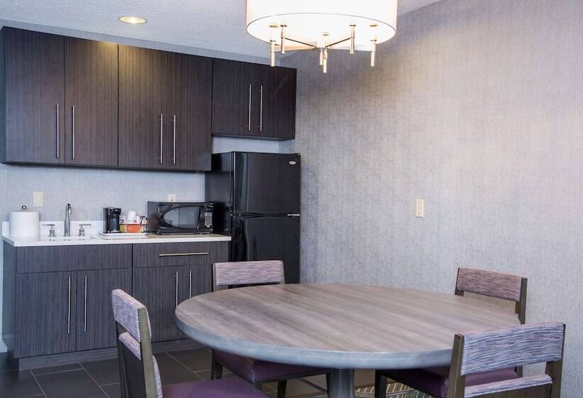 套房, Hampton Inn Midland