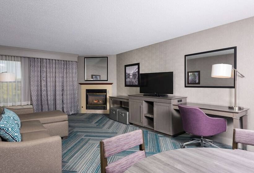 套房, Hampton Inn Midland