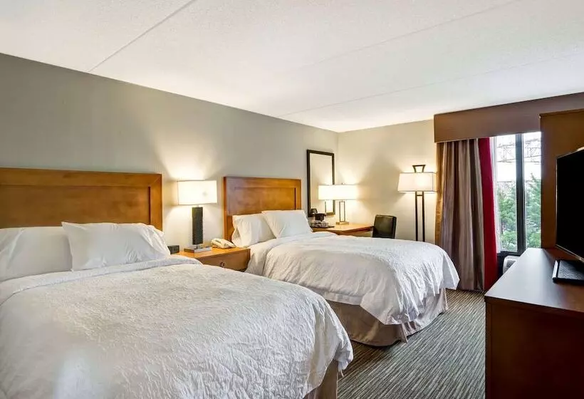 اتاق استاندارد با 2 تخت دوبل, Hampton Inn Norfolk Naval Base