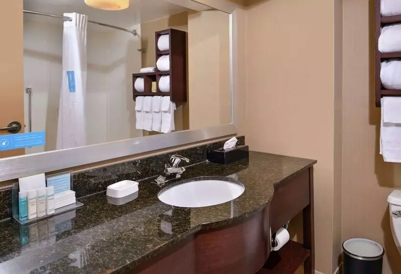 ダブルベッドスタンダードルーム, Hampton Inn South Hill