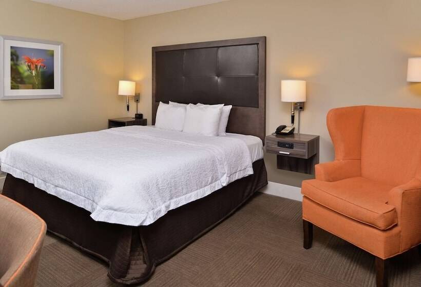 غرفة قياسية سرير مزدوج, Hampton Inn South Hill