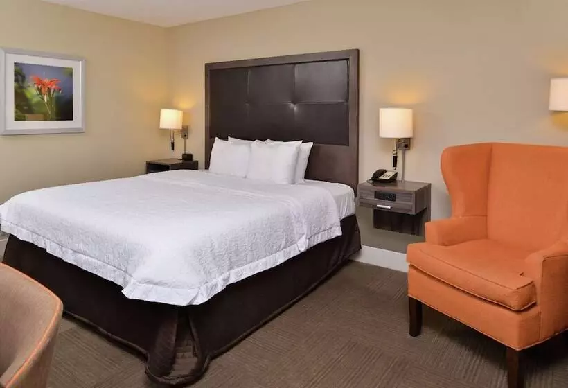 ダブルベッドスタンダードルーム, Hampton Inn South Hill