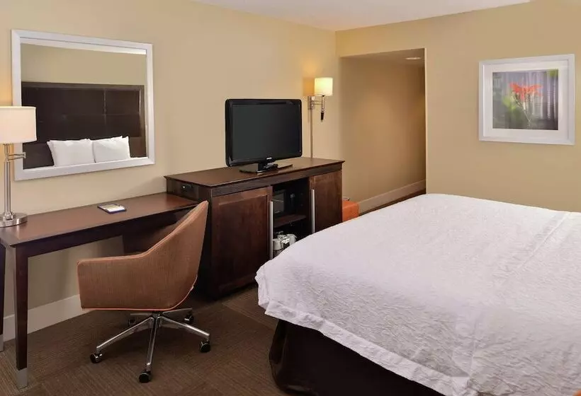 ダブルベッドスタンダードルーム, Hampton Inn South Hill