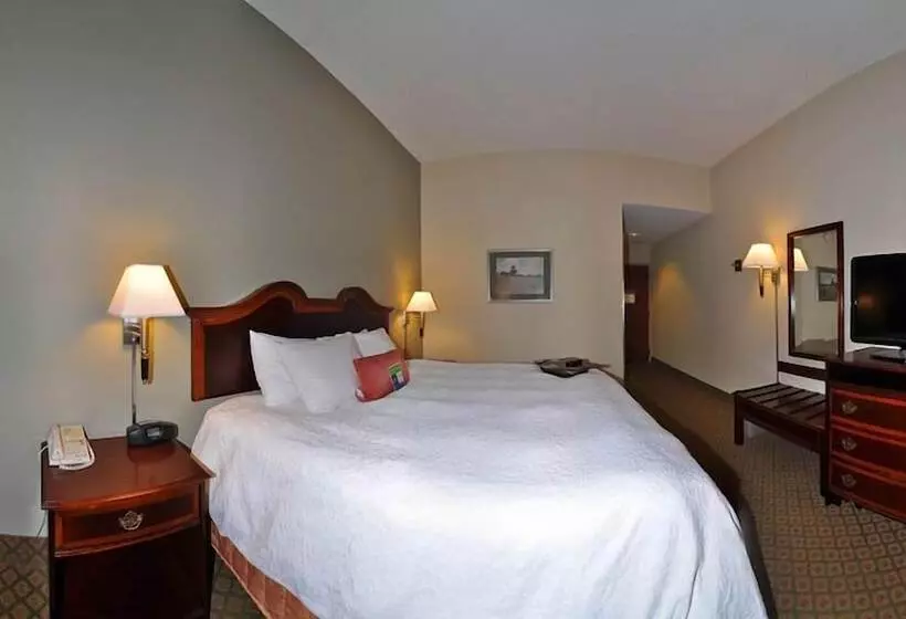 ダブルベッドスタンダードルーム, Hampton Inn South Hill