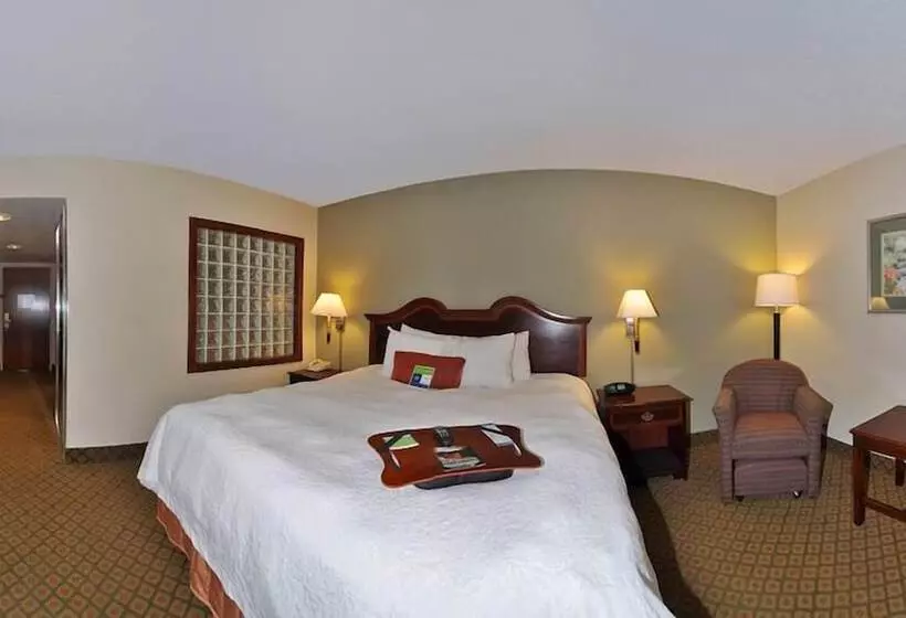 ダブルベッドスタンダードルーム, Hampton Inn South Hill