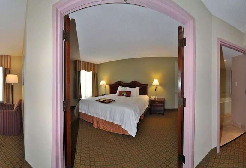 غرفة قياسية سرير مزدوج, Hampton Inn South Hill
