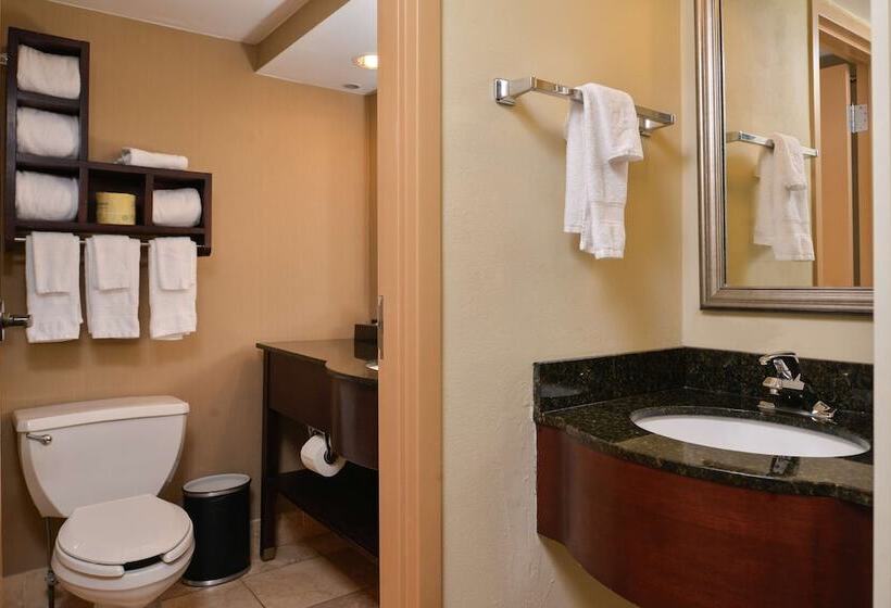 스탠다드 룸 더블 침대, Hampton Inn South Hill