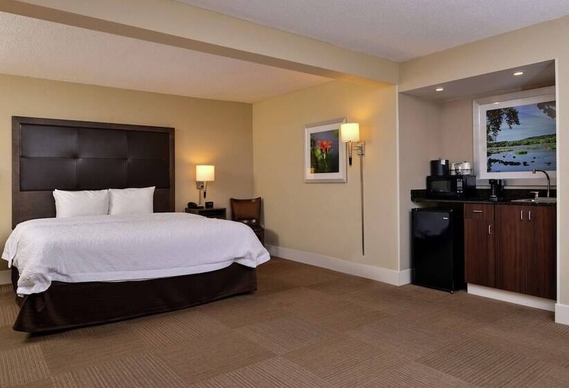 غرفة قياسية سرير مزدوج, Hampton Inn South Hill