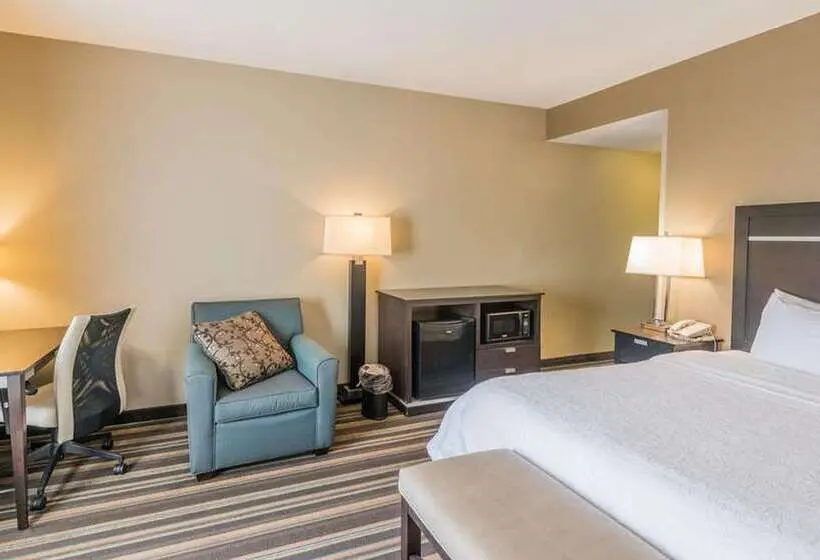 Standard-huone King-vuode, Hampton Inn South Hill
