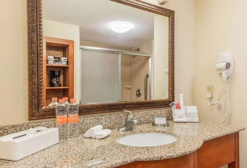 Standard-huone King-vuode, Hampton Inn South Hill