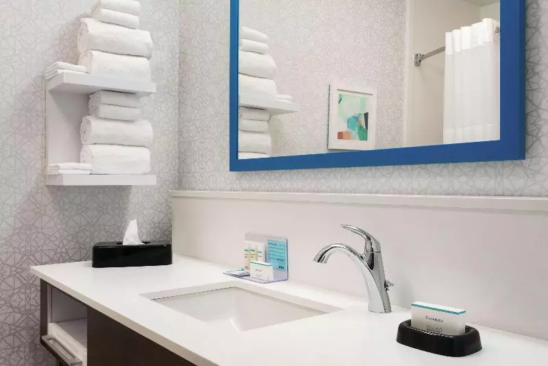 سوئیت با تخت بزرگ, Hampton Inn & Suites Ft. Waynenorth
