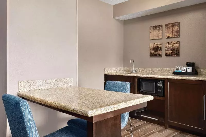 سوئیت با تخت بزرگ, Hampton Inn & Suites Ft. Waynenorth