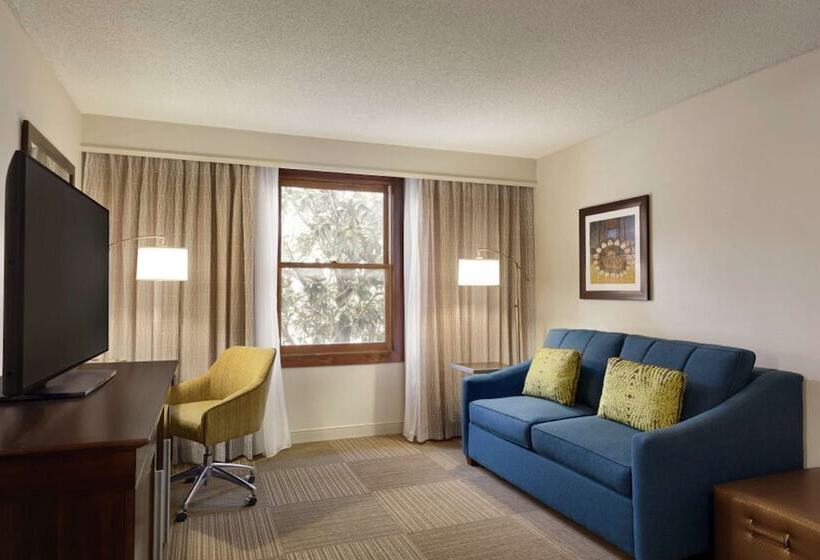 スイート, Hampton Inn & Suites Springdale