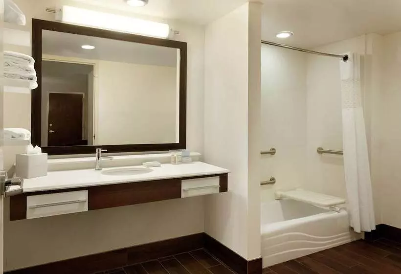 身障者適用スタンダードルーム, Hampton Inn & Suites Springdale