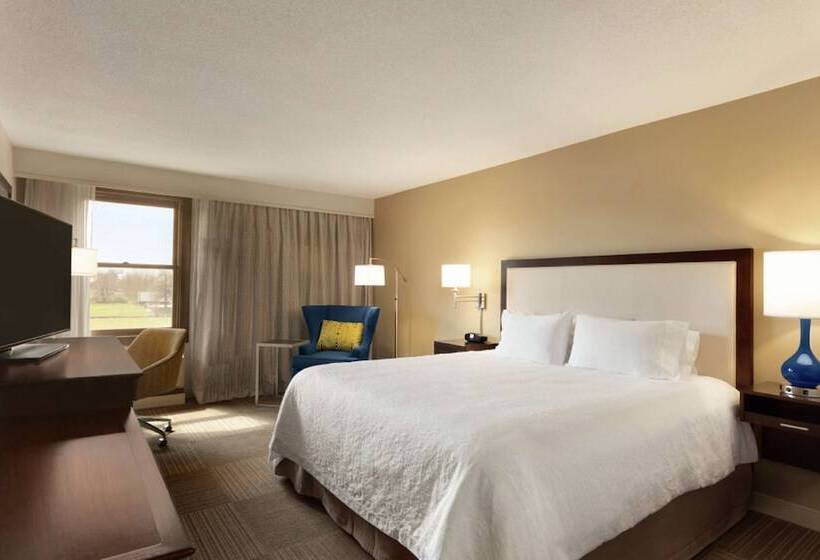 身障者適用スタンダードルーム, Hampton Inn & Suites Springdale