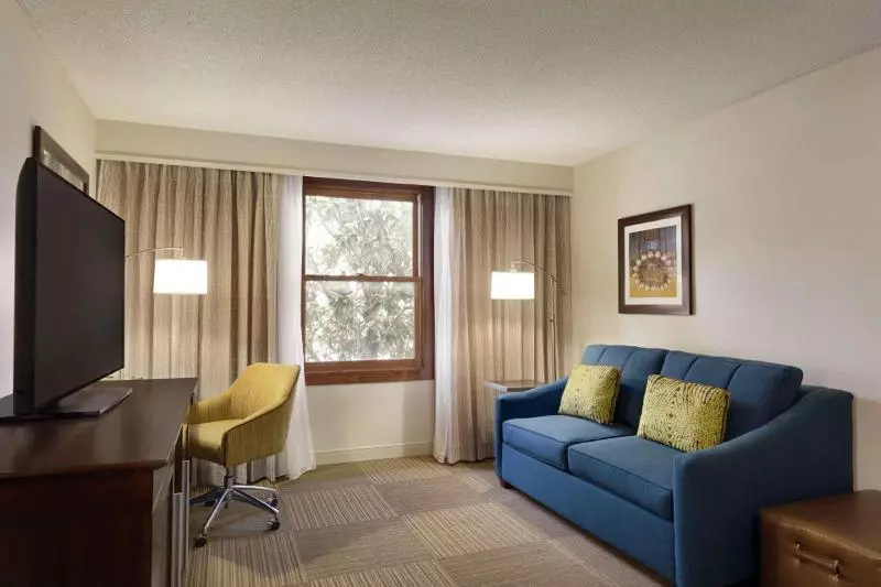 キングサイズベッドのスイートルーム, Hampton Inn & Suites Springdale