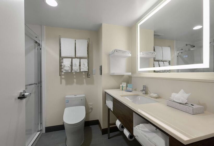 חדר סטנדרט שתי מיטות זוגיות, Hampton Inn Greenville/travelers Rest