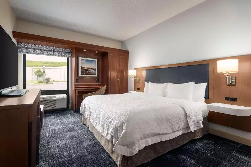 اتاق استاندارد با تخت بزرگ, Hampton Inn By Hilton Wausau
