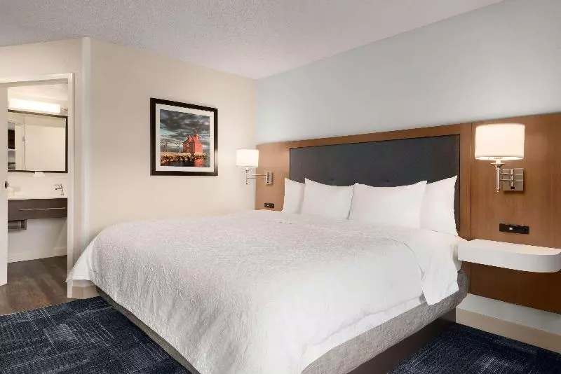 اتاق استاندارد با تخت بزرگ, Hampton Inn By Hilton Wausau