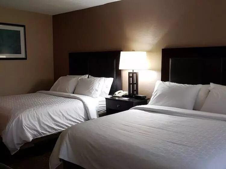 ２ダブルベッドのスタンダードルーム, Holiday Inn Express Detroit Birmingham, An Ihg