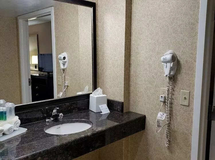 スタンダードルーム, Holiday Inn Express Detroit Birmingham, An Ihg